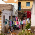 L'Intense Passionnée