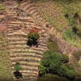 La Saveur La Saveur