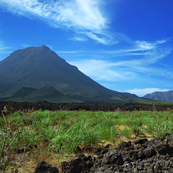 Fogo